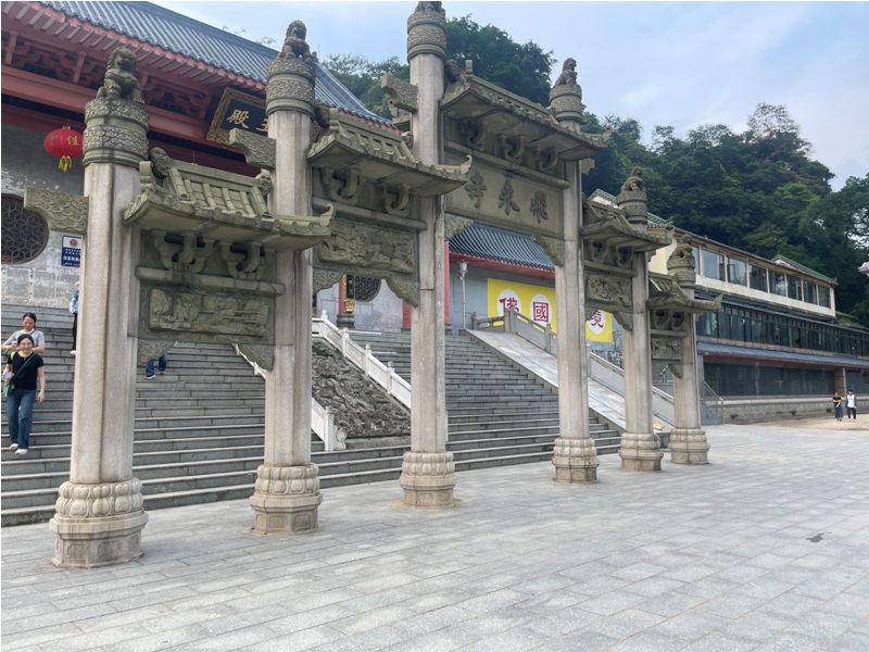 hong kong kung fu academy di Sifu Salvatore Mezzone, arti marziali wing chun, weng chun GM Michael Tang, tai chi quan, sanda e sport da combattimento, shaolin cina (7)